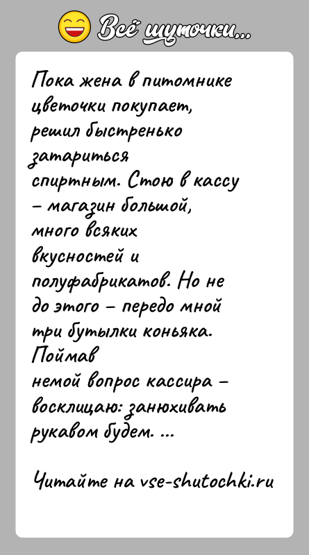 История: Пока жена в питомнике цветочки покупает, решил быстренько затаритьсяспиртным. Стою в кассу магазин большой, много всяких вкусностей иполуфабрикатов. Но