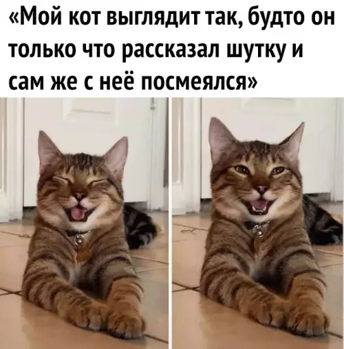 Смешная картинка №681561