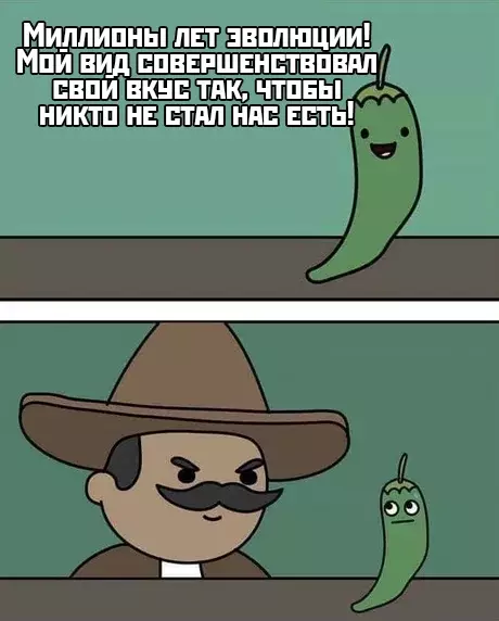 Смешная картинка №414378 Наконец-то нормальная еда