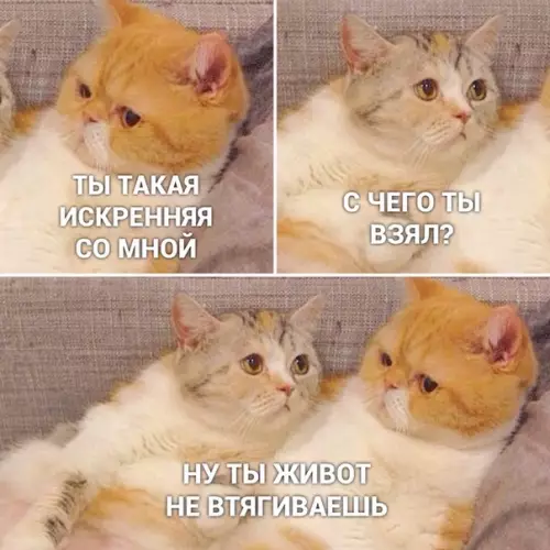 Смешная картинка №446415 Иcкpeннocть