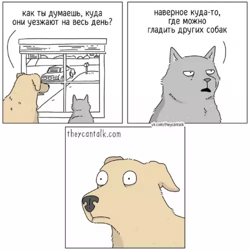 Смешная картинка №713979 Коты