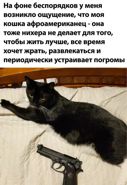 Смешная картинка №499202