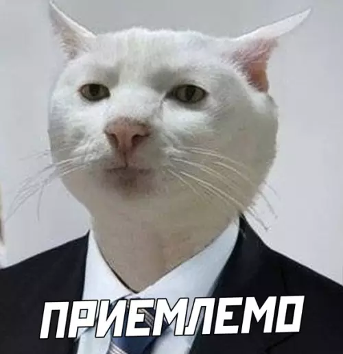 продолжение Смешная картинка №563202