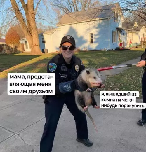 Смешная картинка №623293