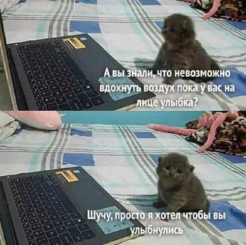Смешная картинка №698856