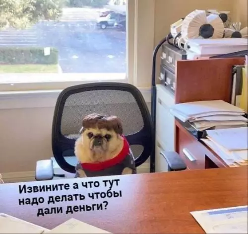 Смешная картинка №688430 Работа 