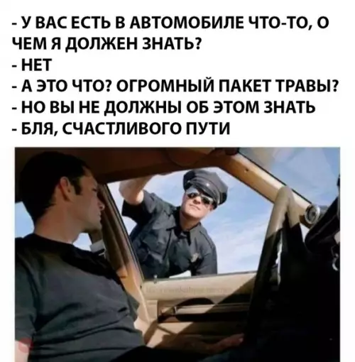 Смешная картинка №285698