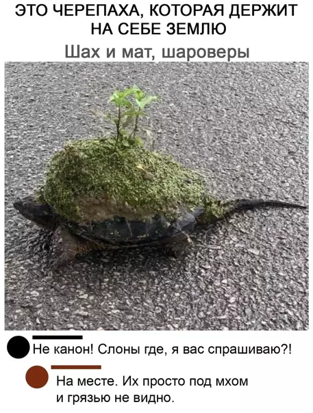Смешная картинка №550798 И нe пocпopишь