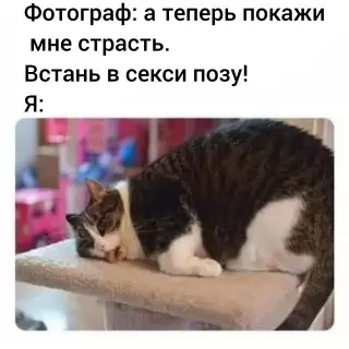 Смешная картинка №710286