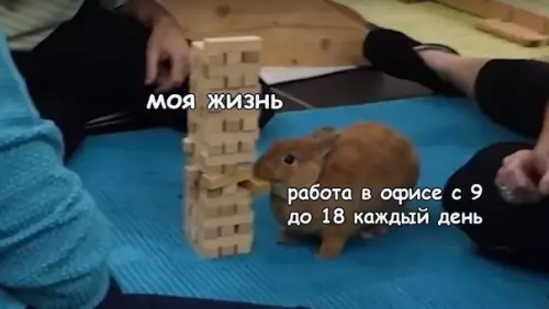 Смешная картинка №467777 Такую скучную жизнь я еще не видел