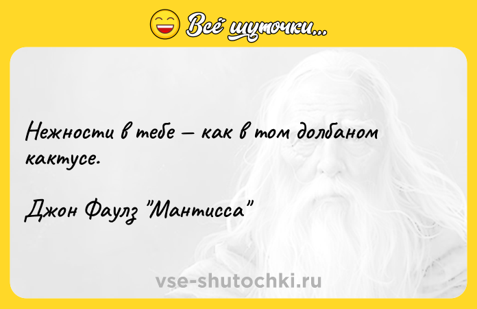 Цитата: Нежности в тебе как в том долбаном кактусе.Джон Фаулз Мантисса