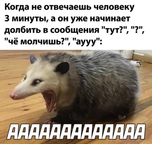 Смешная картинка №502069