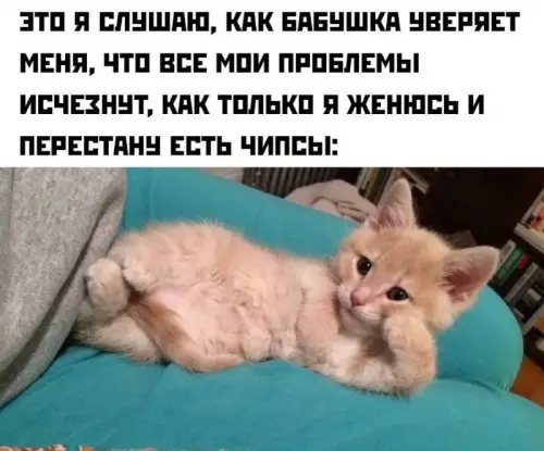 Смешная картинка №760541