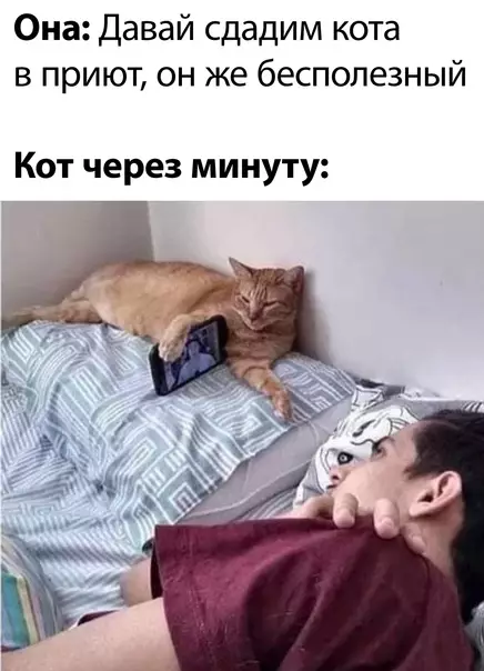 Смешная картинка №573074