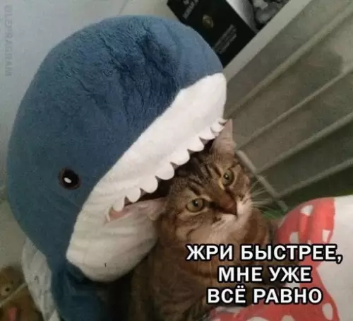 Смешная картинка №710074 Состояние в последнее время