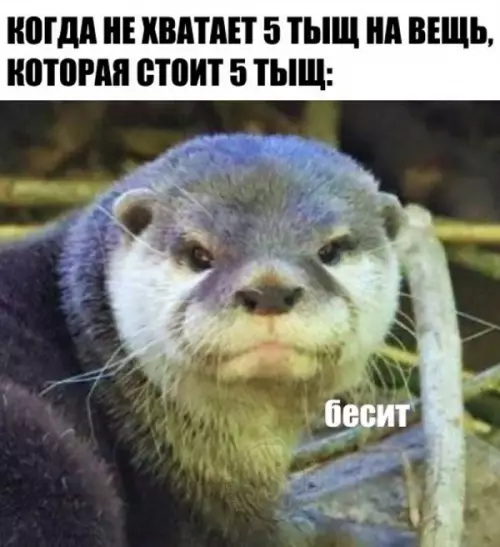 Смешная картинка №653930