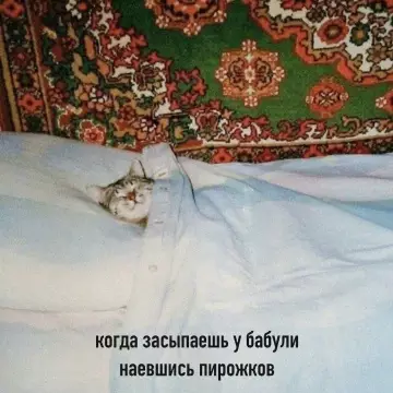 У бабули уровень счастья: MAX 🥐😻 - когда засыпаешь у бабули наевшись пирожков