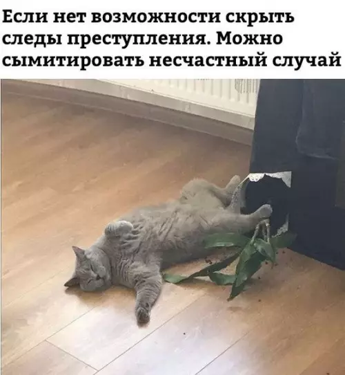 Смешная картинка №241717
