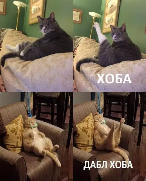 Смешная картинка №207892