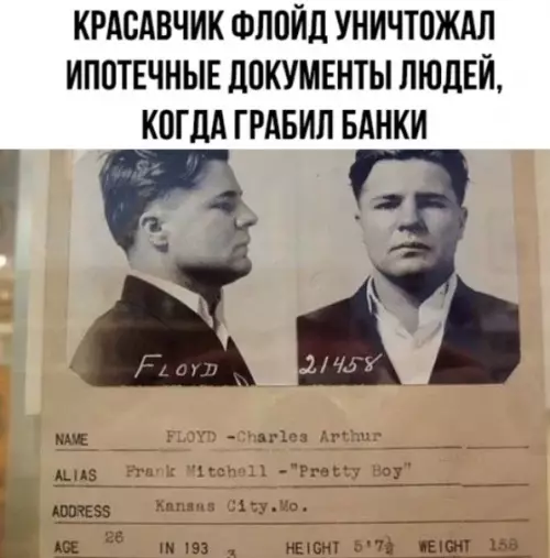 Смешная картинка №309399 Этот мужик как современный Робин Гуд!