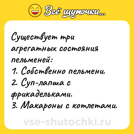 Шутка: Существует три агрегатных состояния пельменей:<br>1. Собственно пельмени.<br>2. Суп-лапша с фрикадельками.<br>3. Макароны с котлетами.