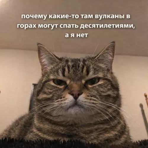 Непонимание кота - почему какие-то там вулканы в горах могут спать десятилетиями, а