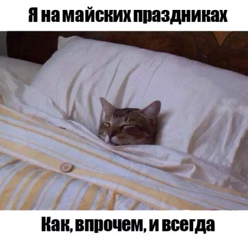 Смешная картинка №180797