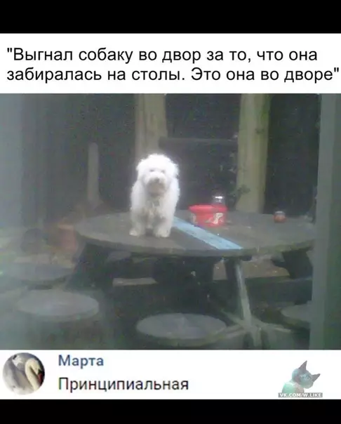 Смешная картинка №353078