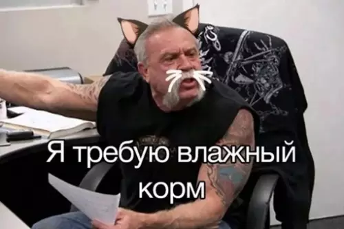 Смешная картинка №688766 Коротко о моей кошке