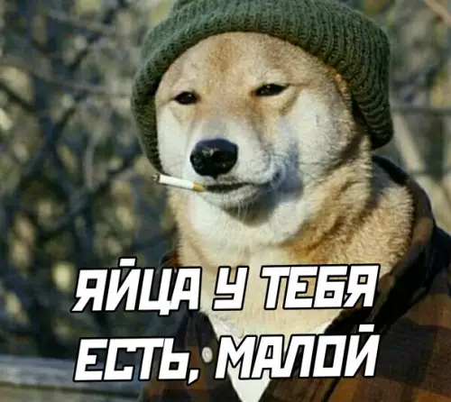 продолжение Смешная картинка №595259