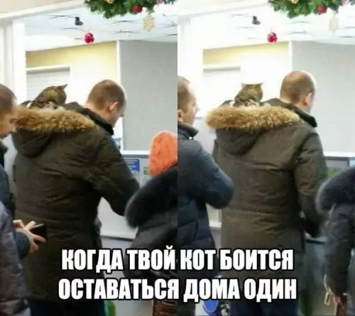 Смешная картинка №220613