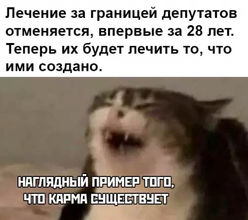 Смешная картинка №478154