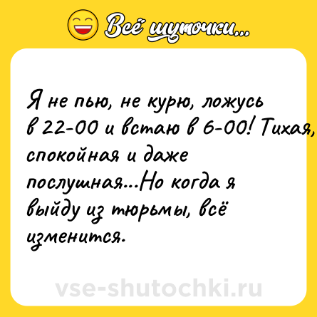 Шутка: Я не пью, не курю, ложусь в 22-00 и встаю в 6-00! Тихая, спокойная и даже послушная...Но когда я выйду из тюрьмы, всё изменится.