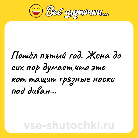 Шутка: Пошёл пятый год. Жена до сих пор думает,что это кот тащит грязные носки под диван...