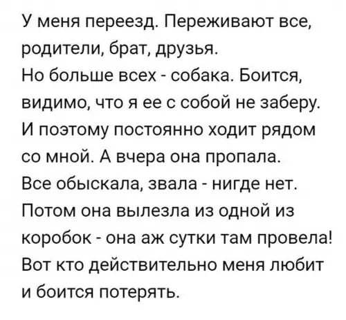 Смешная картинка №191857