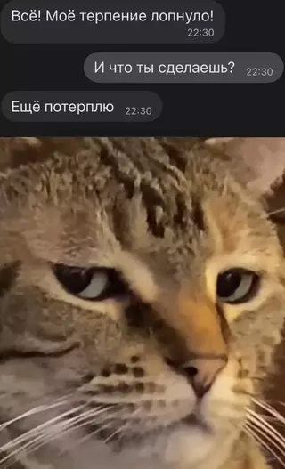 Смешная картинка №677504