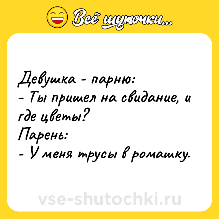 Шутка: Девушка - парню:<br>- Ты пришел на свидание, и где цветы?<br>Парень:<br>- У меня трусы в ромашку.
