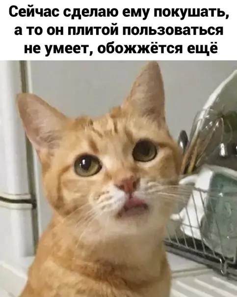 продолжение Смешная картинка №578278