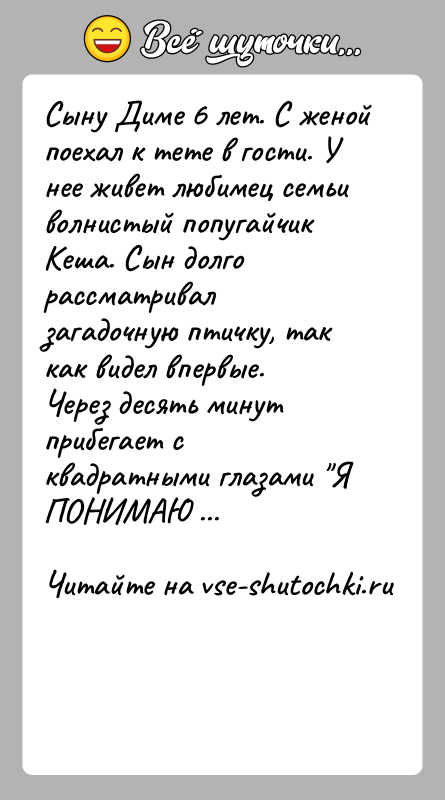 История: Сыну Диме 6 лет. С женой поехал к тете в гости. У нее живет любимец семьи волнистый попугайчик Кеша. Сын