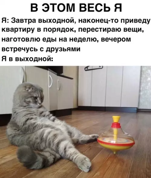 Смешная картинка №311654