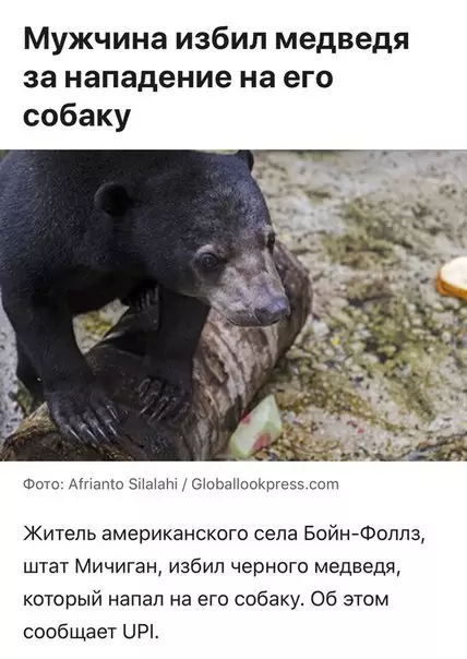Смешная картинка №278902 Никто не смеет обижать его собаку. Никто.