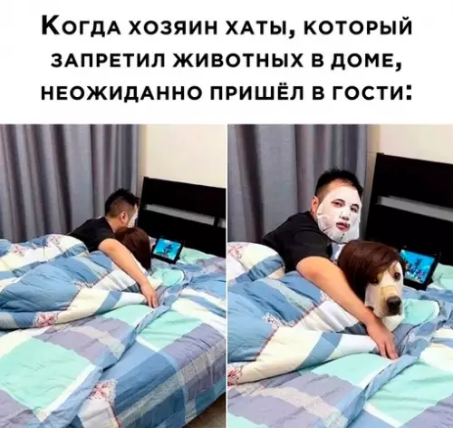 Смешная картинка №687335