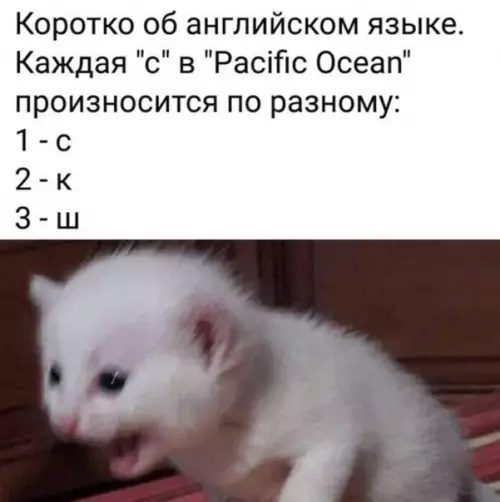 Смешная картинка №556193 Лучшее