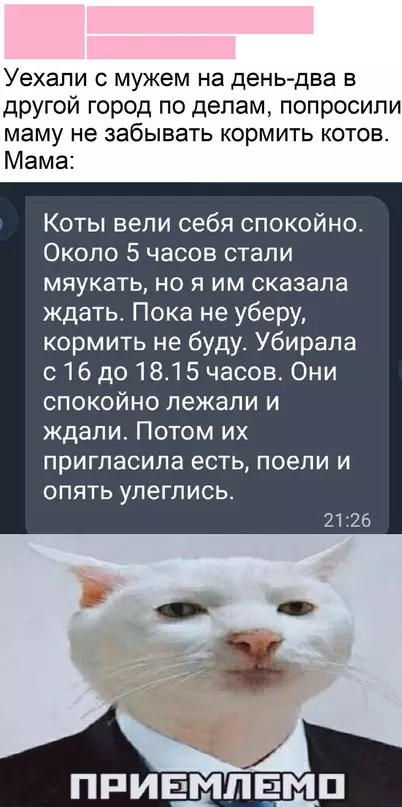 Смешная картинка №703303 Подробный отчёт