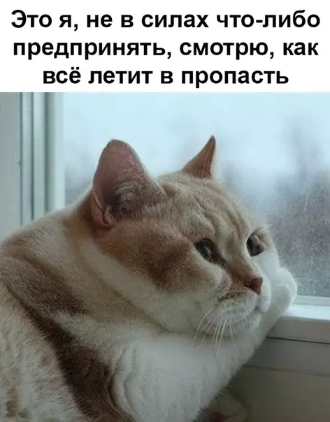 Смешная картинка №342052
