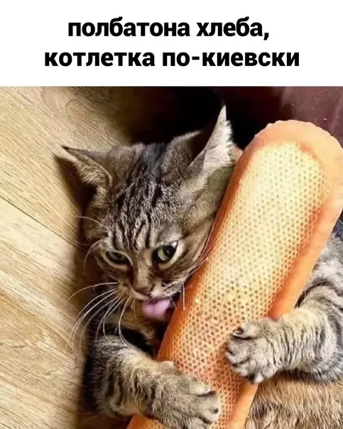 продолжение Смешная картинка №584656 Я и мoя диeтa