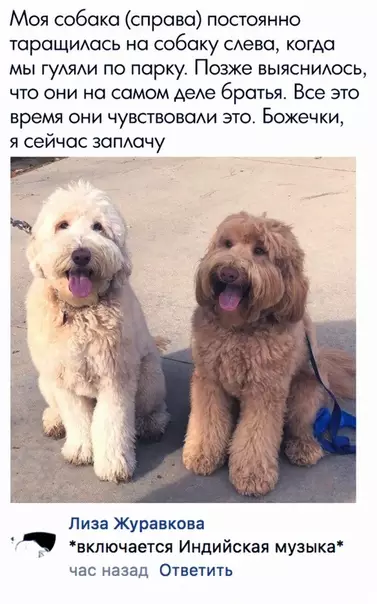 Смешная картинка №362923
