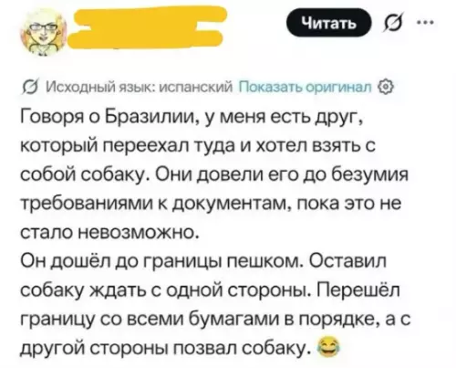 Как переехать в Бразилию и не сойти с ума 🇧🇷🐕 - Говоря о Бразилии, у меня есть друг, который переехал туда