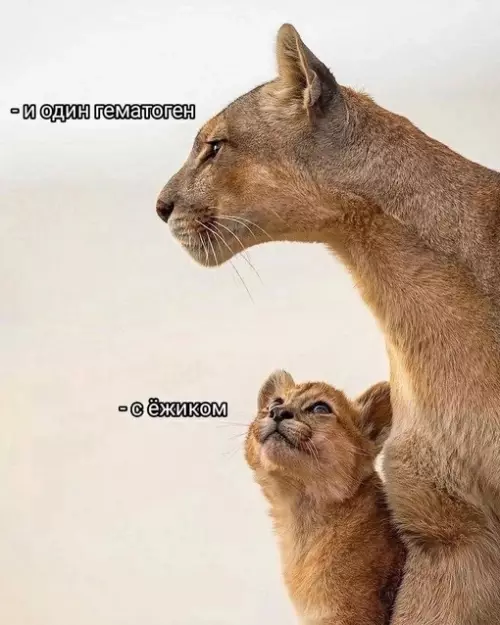 Смешная картинка №682790
