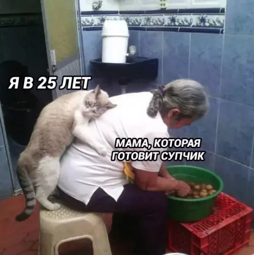 продолжение Смешная картинка №772384